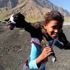 Cape Verde - Fogo vulkāns — PAS-0135