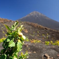 Cape Verde - Fogo vulkāns — PAS-0165