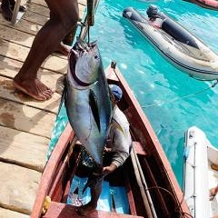 Cape Verde - dzīve pie okeāna — PAS-0193