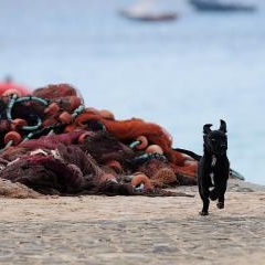 Cape Verde - dzīve pie okeāna — PAS-0229