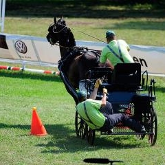 FEI World Cup — SPO-0174