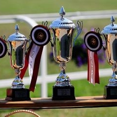 FEI World Cup — SPO-0204