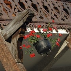 Francija - Morzine — CEL-0135