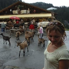 Francija - Morzine — CEL-0098