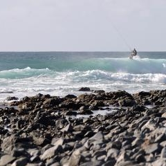 Kite Ponta Preta - SAL — SPO-0222