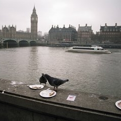 Londona — CEL-0069