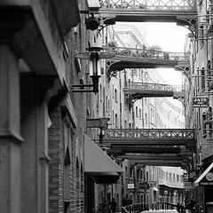 Londona 2 — CEL-0096