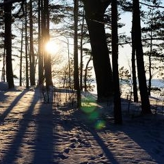 Skultes jūra ziemā — DAB-0007