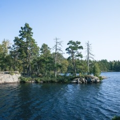 Stockholm 2024 — PAS-0394